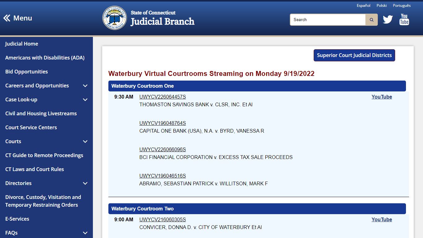 CT Judicial - Public Access